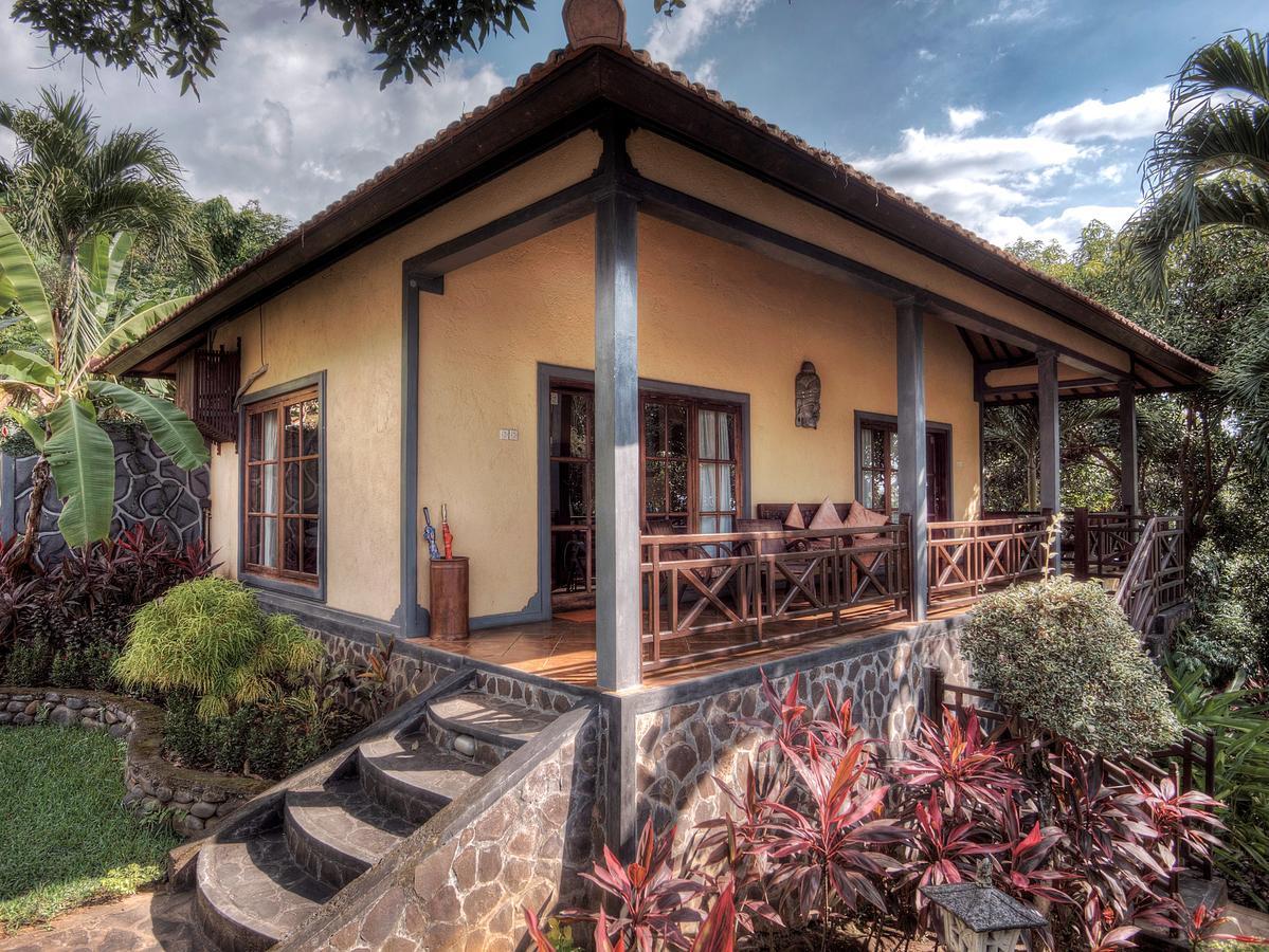 Lovina Puri Mangga Sea View Resort And Spa מראה חיצוני תמונה